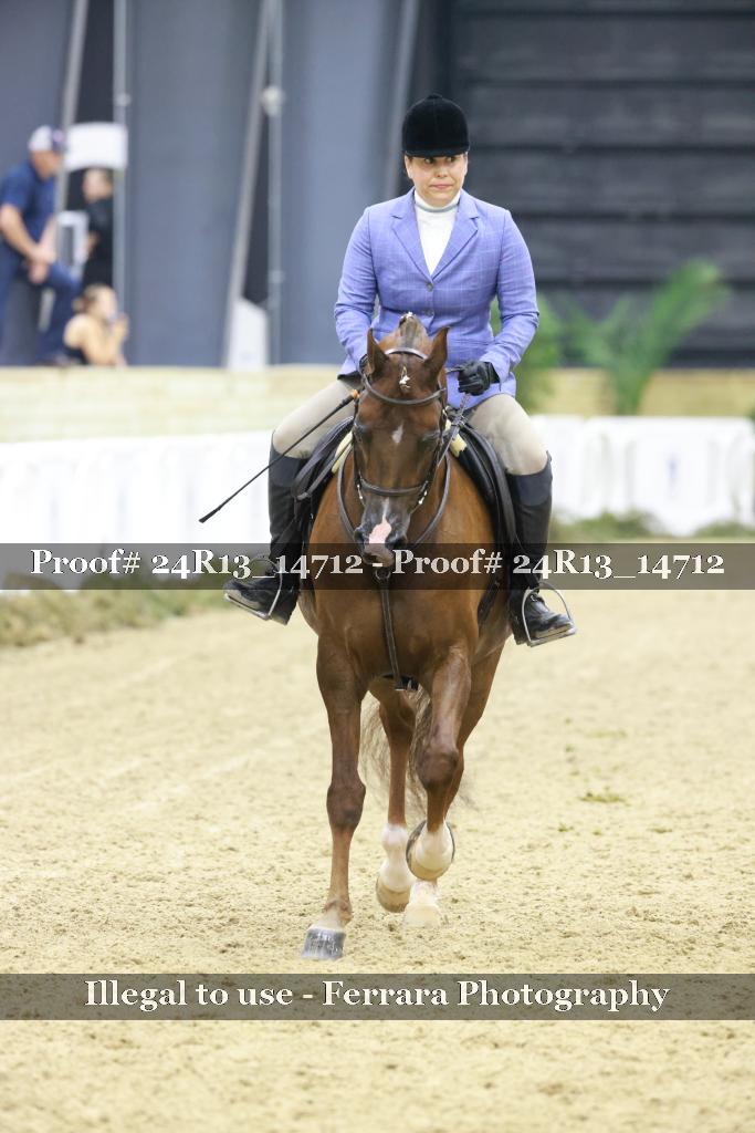Proof 24R13_14712