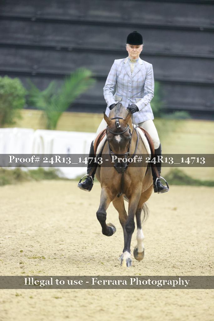 Proof 24R13_14713