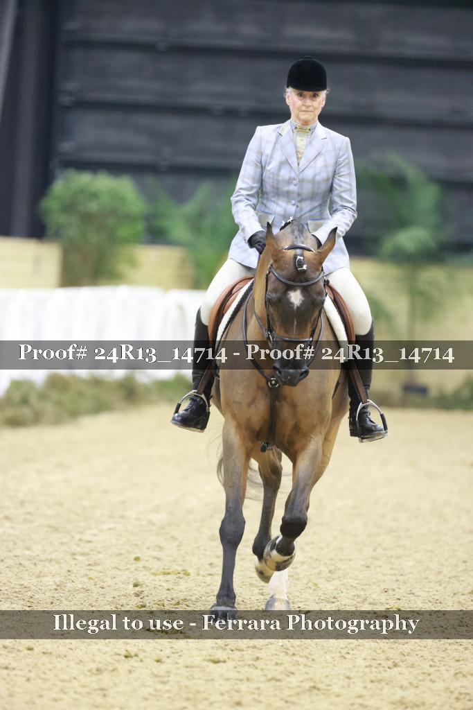 Proof 24R13_14714