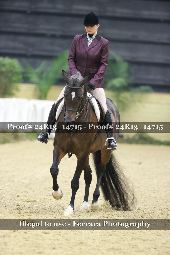 Proof 24R13_14715