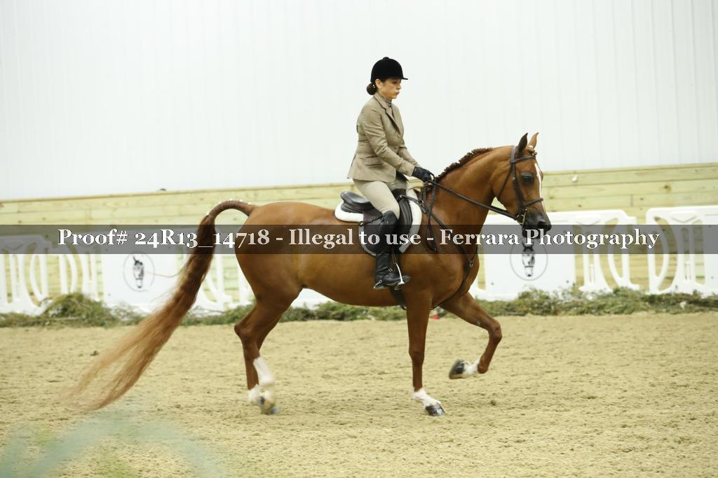 Proof 24R13_14718