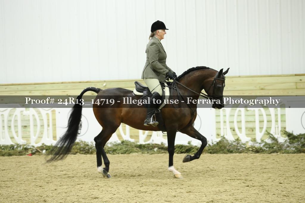 Proof 24R13_14719