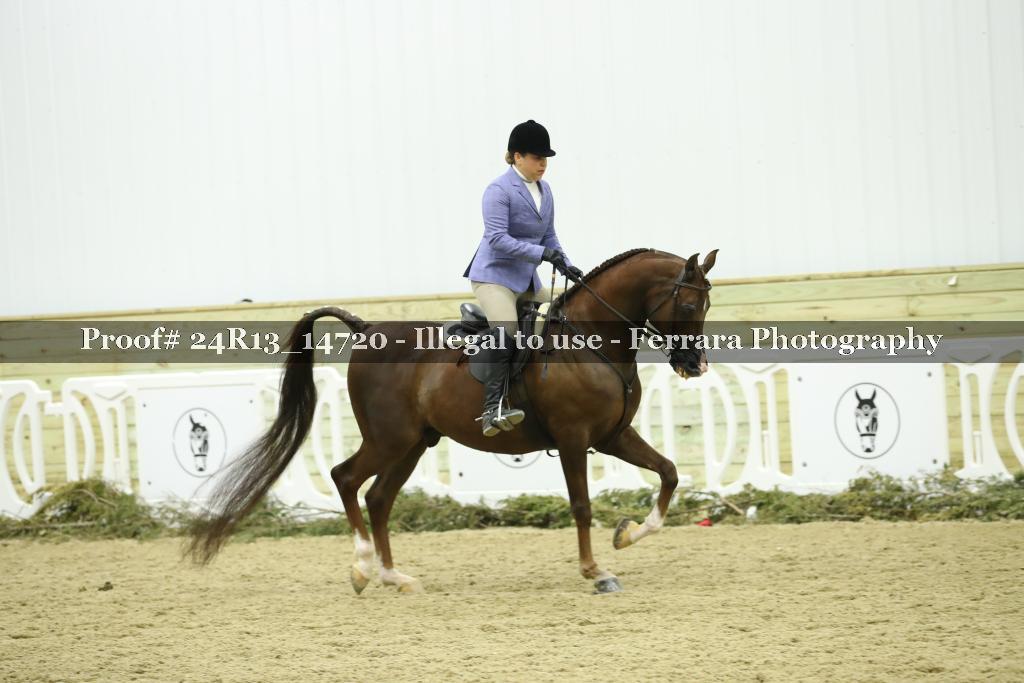 Proof 24R13_14720