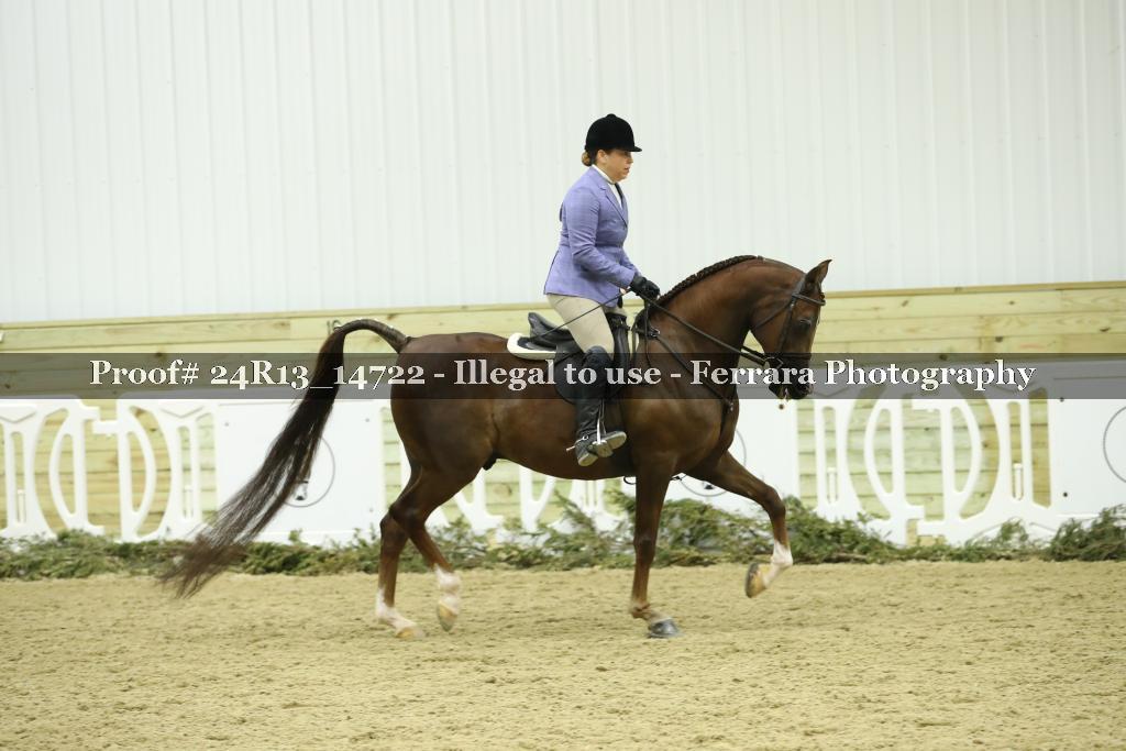 Proof 24R13_14722