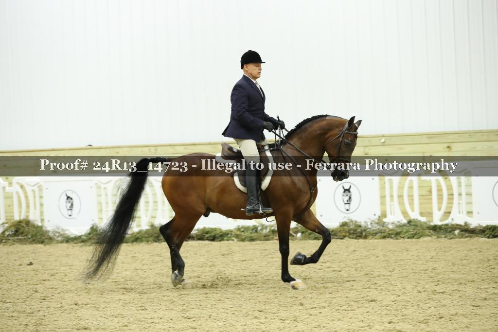 Proof 24R13_14723