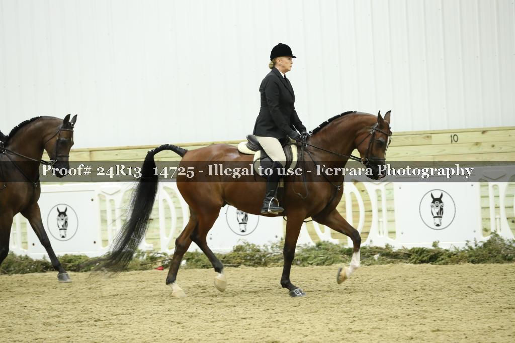 Proof 24R13_14725