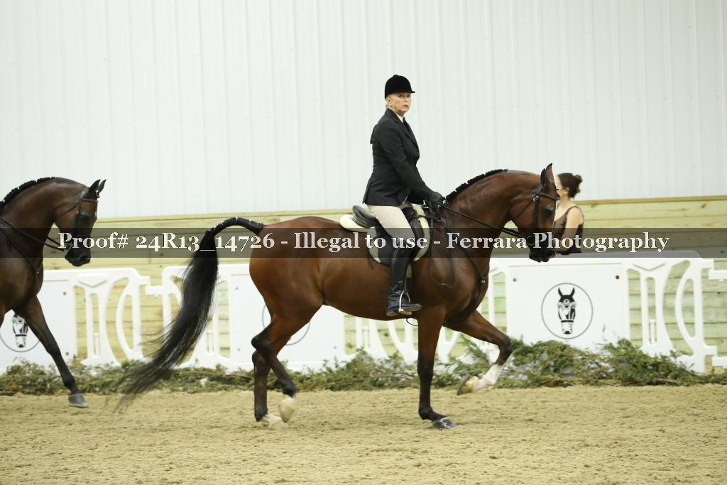 Proof 24R13_14726