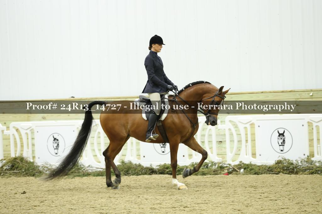 Proof 24R13_14727