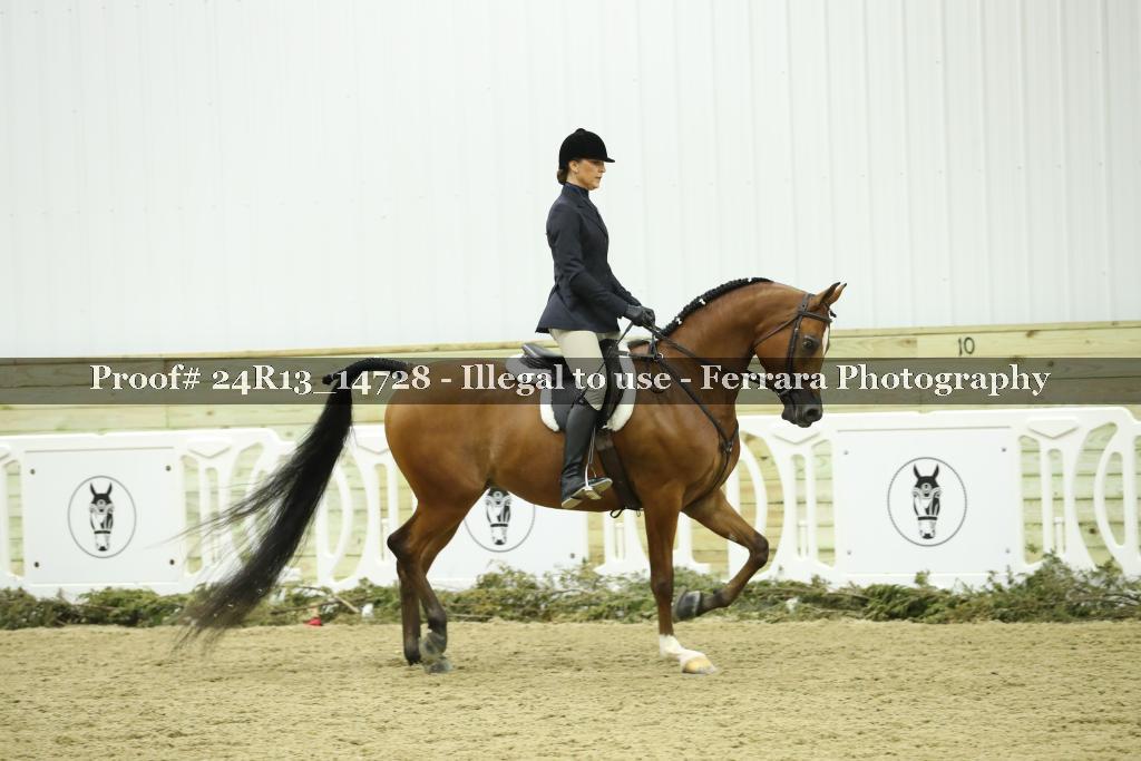 Proof 24R13_14728