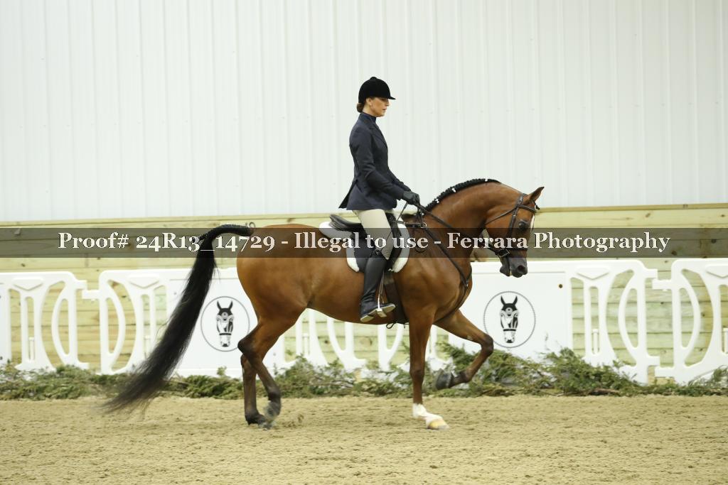 Proof 24R13_14729