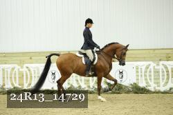 24R13_14729 proof