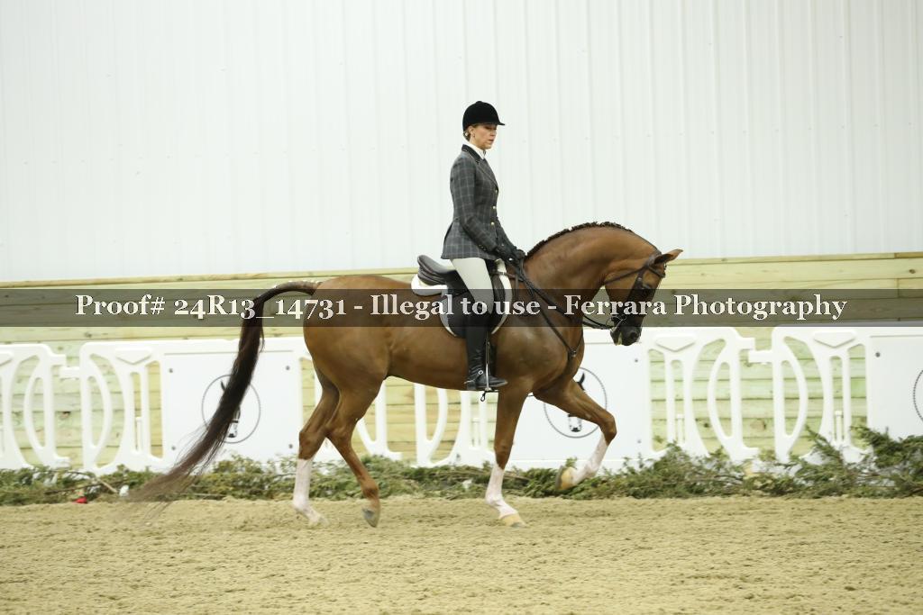 Proof 24R13_14731
