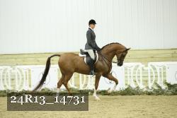 24R13_14731 proof
