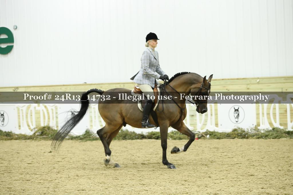 Proof 24R13_14732