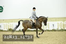 24R13_14732 proof