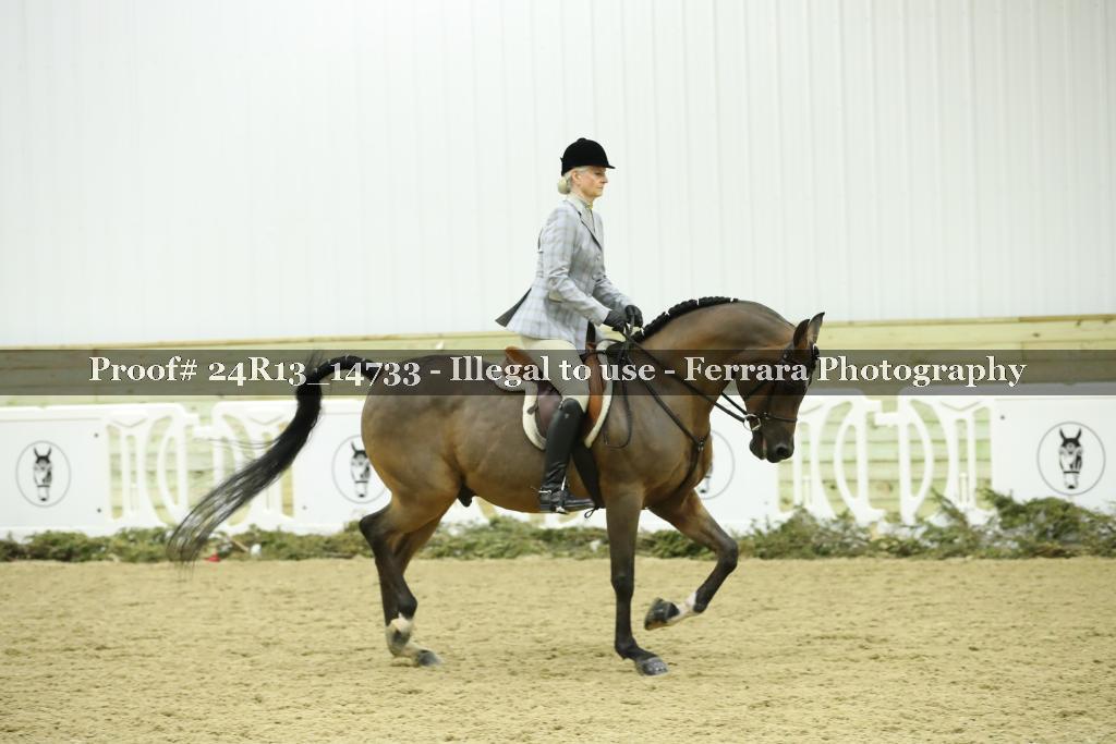 Proof 24R13_14733