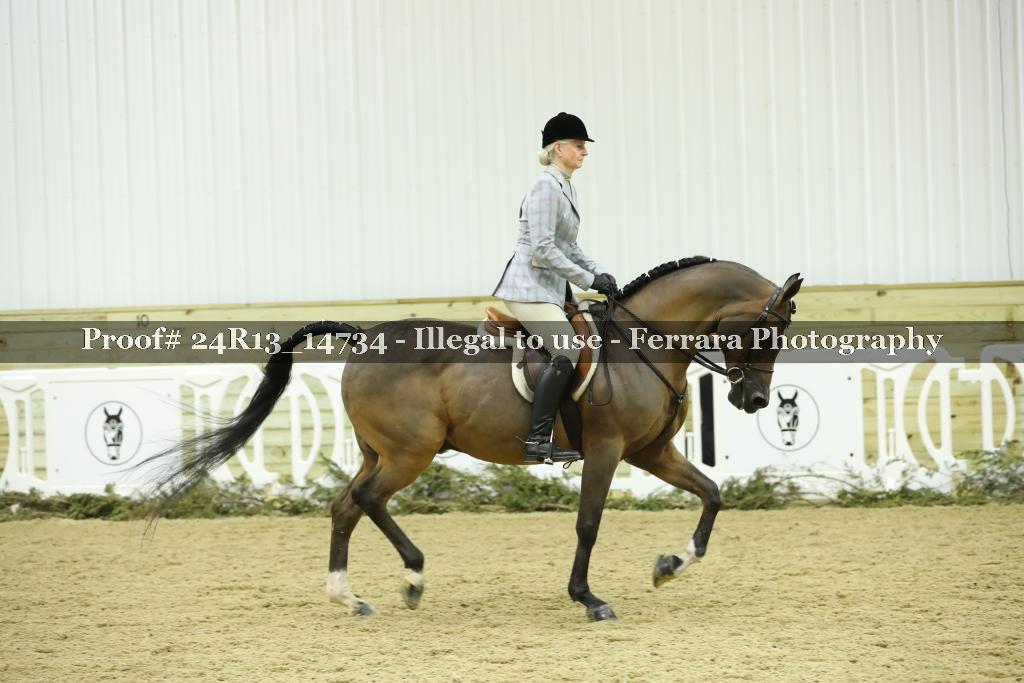 Proof 24R13_14734