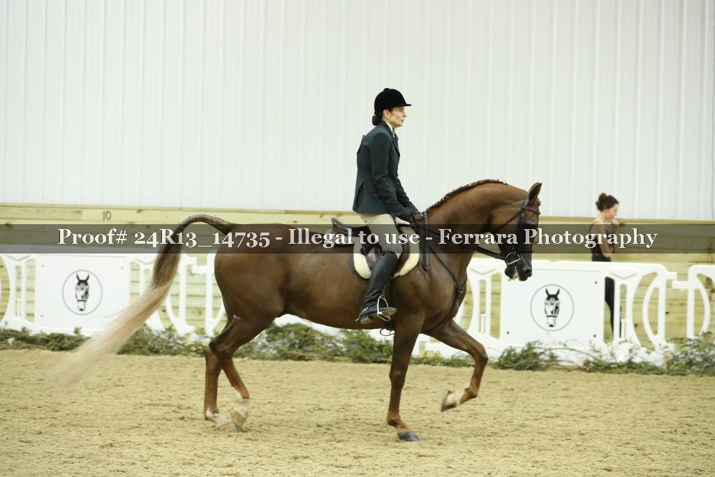 Proof 24R13_14735