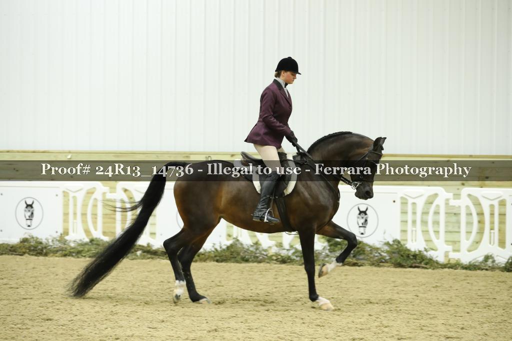Proof 24R13_14736