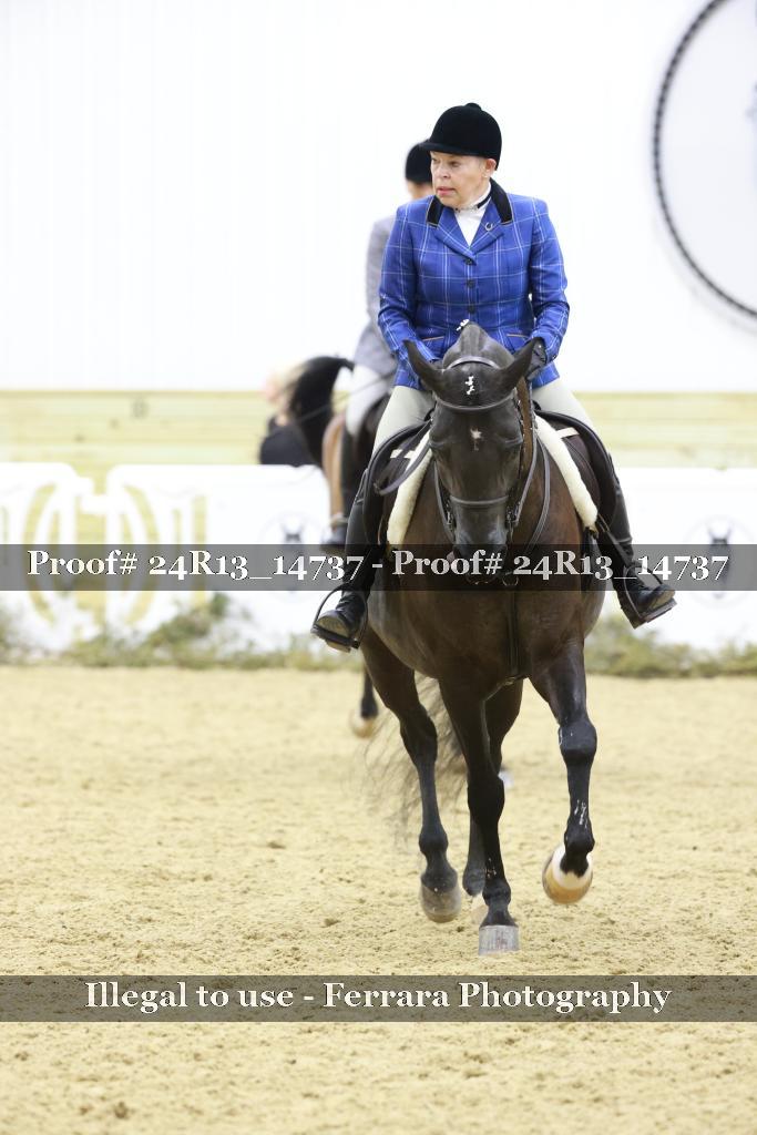 Proof 24R13_14737