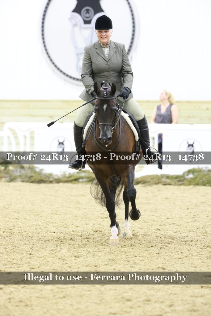 Proof 24R13_14738