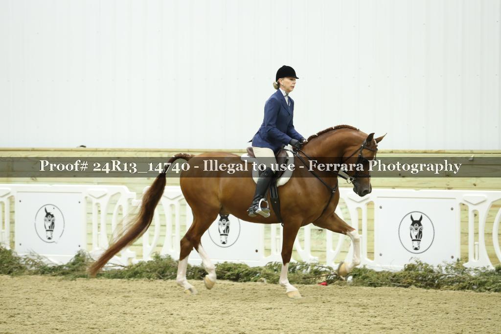 Proof 24R13_14740