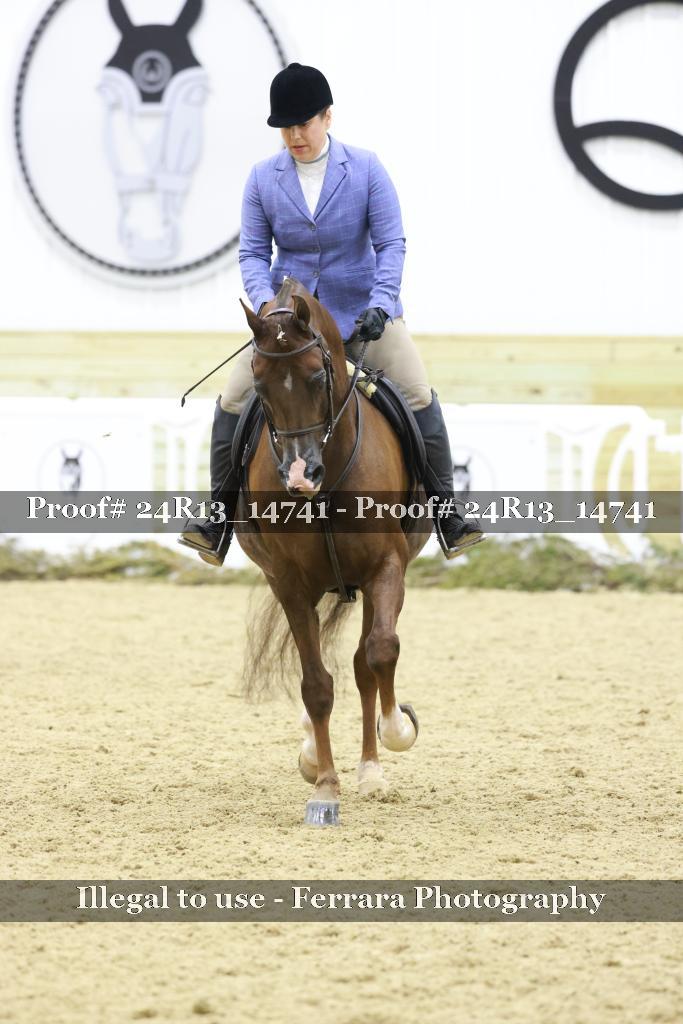 Proof 24R13_14741