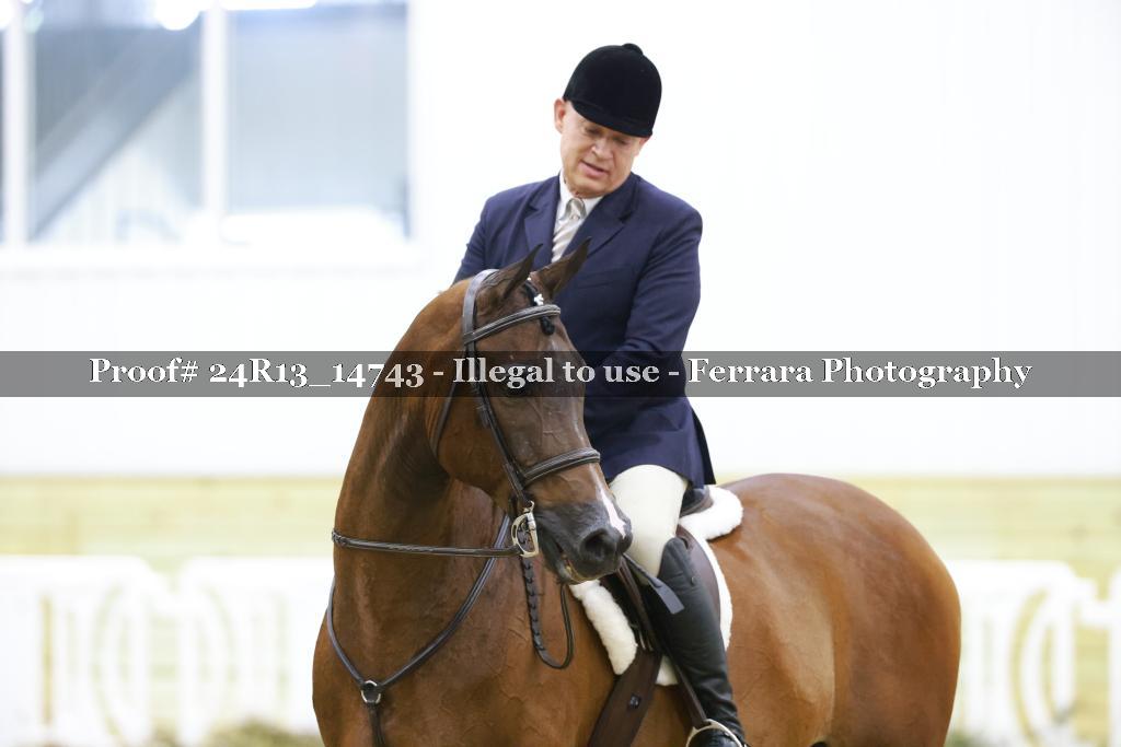 Proof 24R13_14743