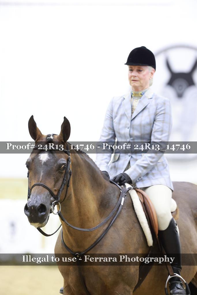 Proof 24R13_14746