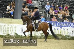 24R13_14775 proof
