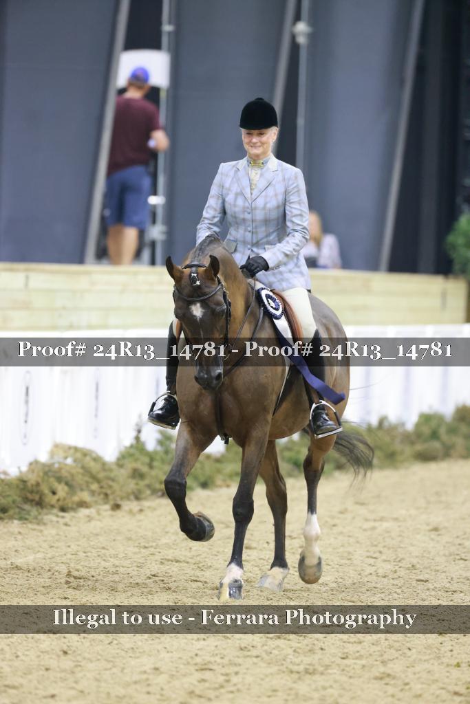 Proof 24R13_14781