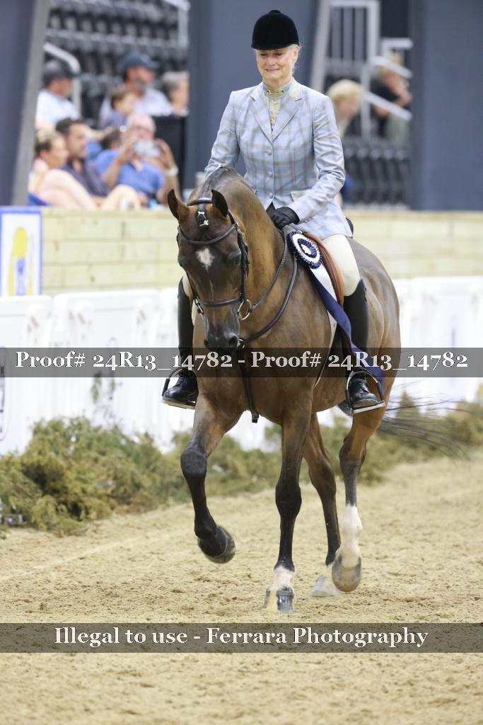 Proof 24R13_14782