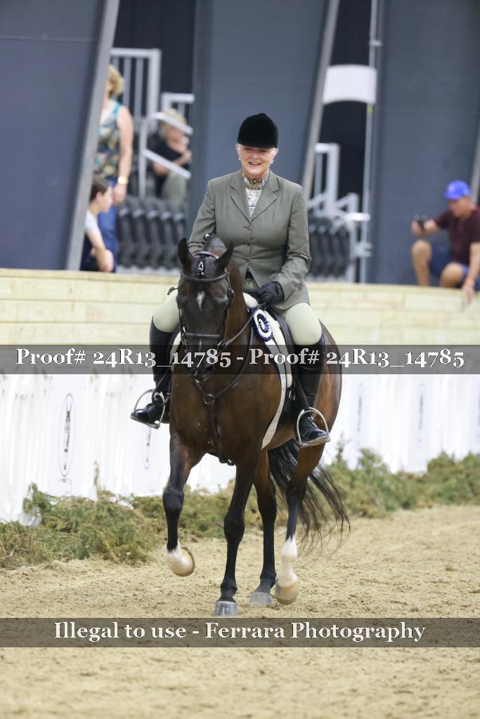 Proof 24R13_14785