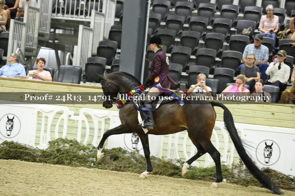 Proof 24R13_14791