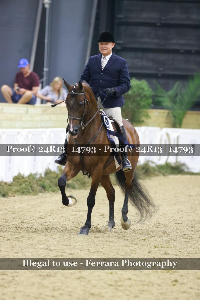 Proof 24R13_14793