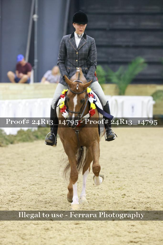 Proof 24R13_14795