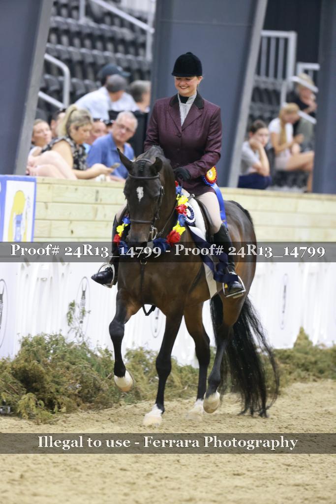 Proof 24R13_14799