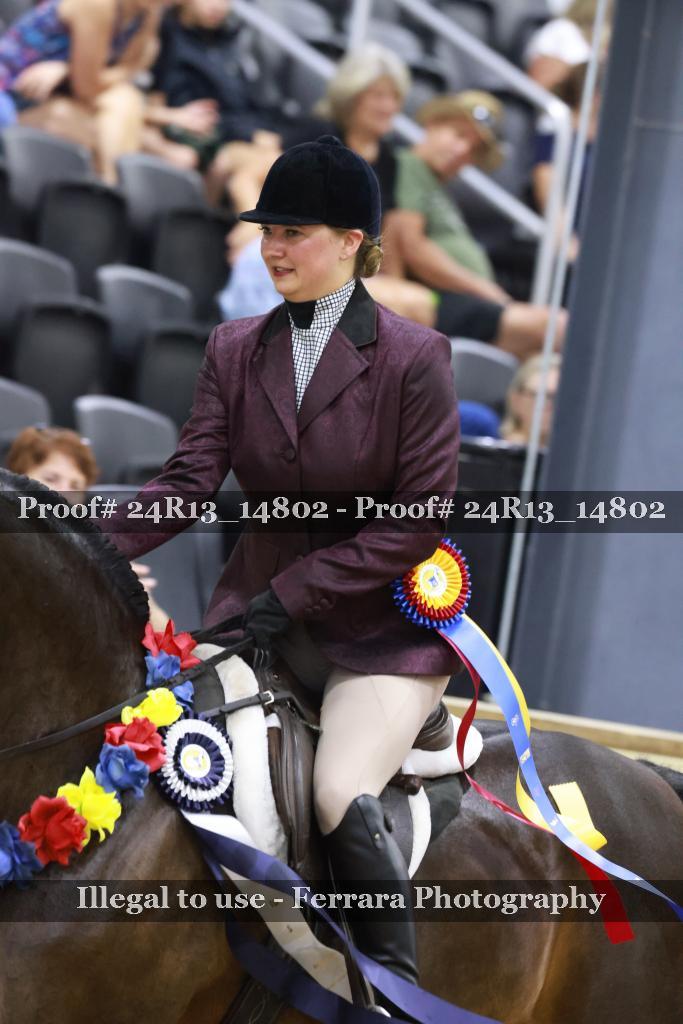 Proof 24R13_14802
