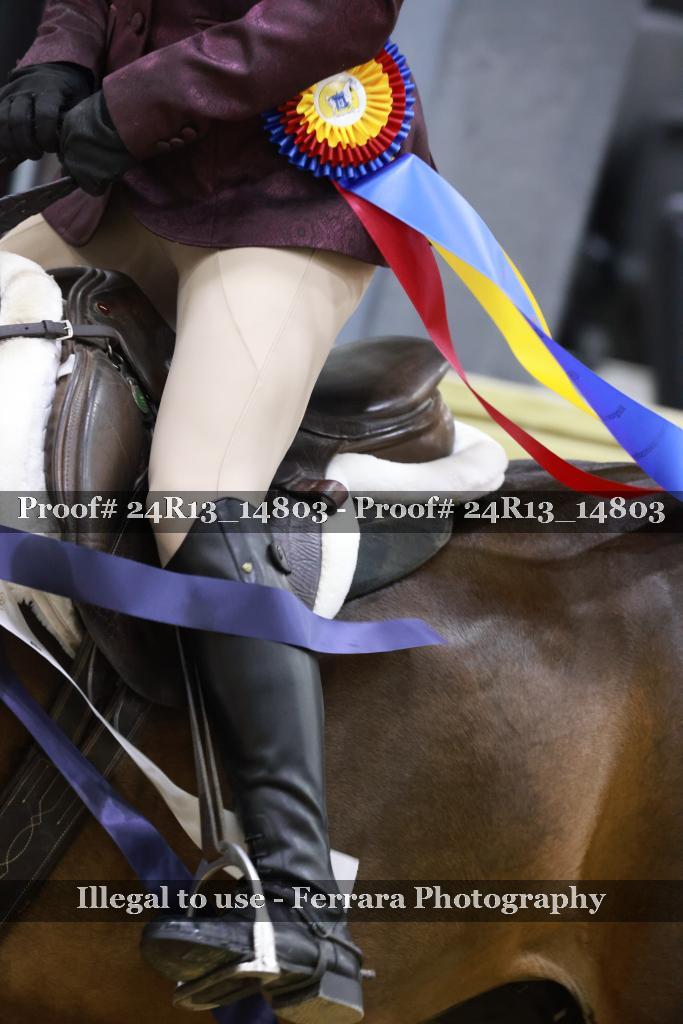 Proof 24R13_14803