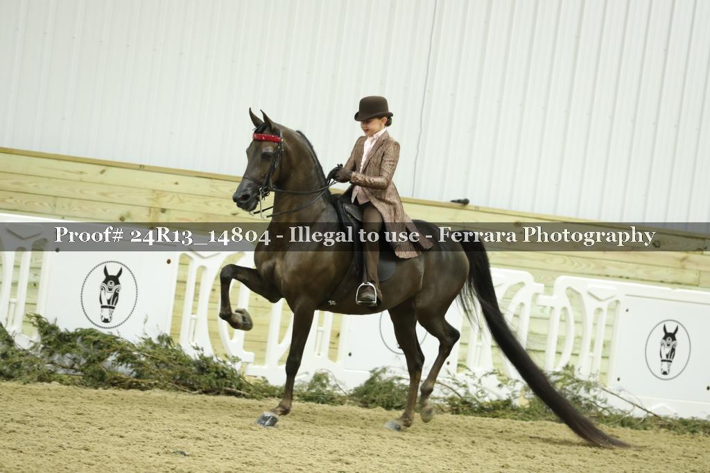 Proof 24R13_14804