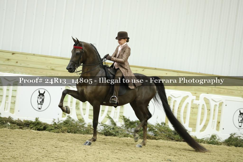 Proof 24R13_14805