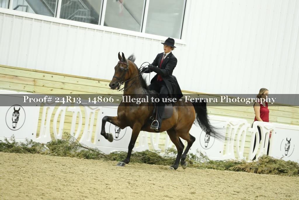 Proof 24R13_14806