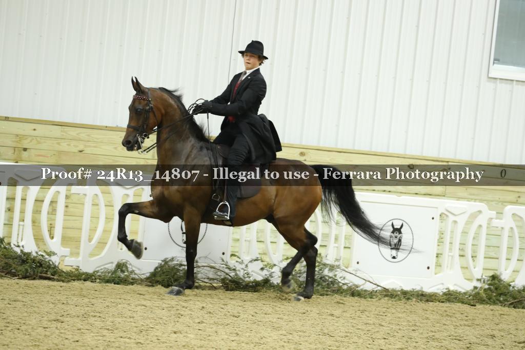 Proof 24R13_14807