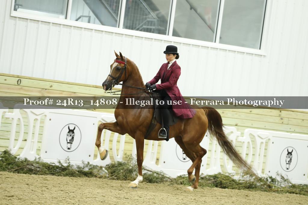 Proof 24R13_14808
