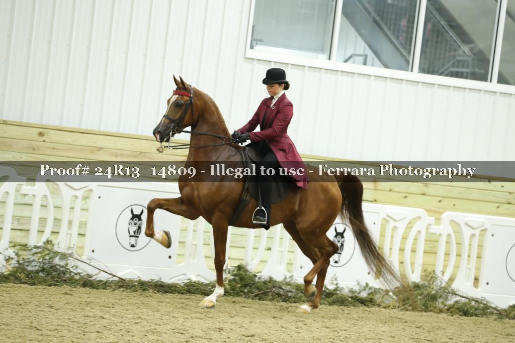 Proof 24R13_14809