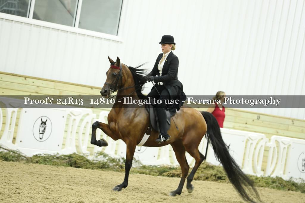 Proof 24R13_14810