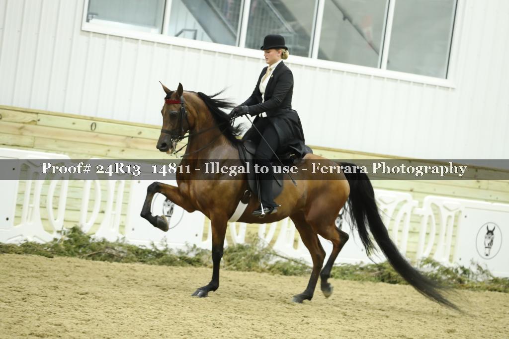 Proof 24R13_14811