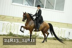 24R13_14811 proof