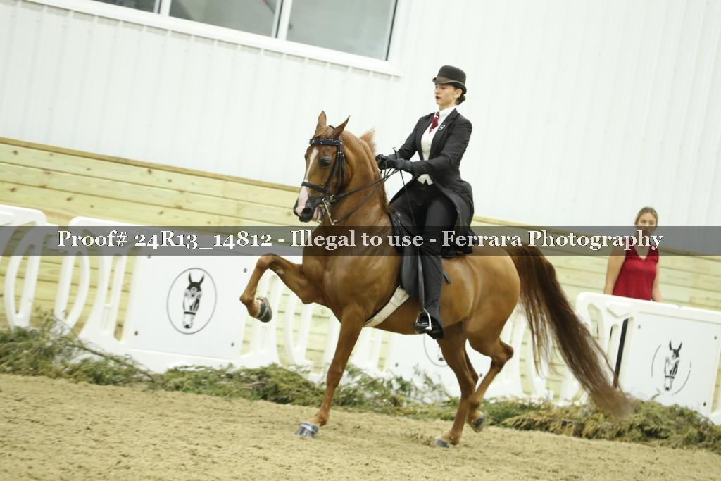 Proof 24R13_14812