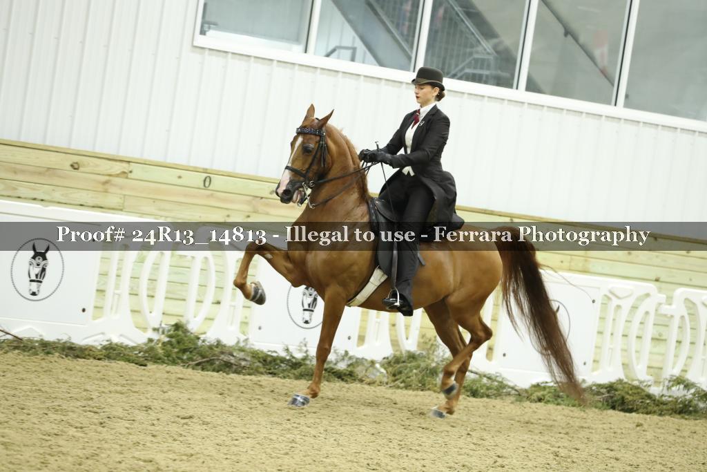 Proof 24R13_14813